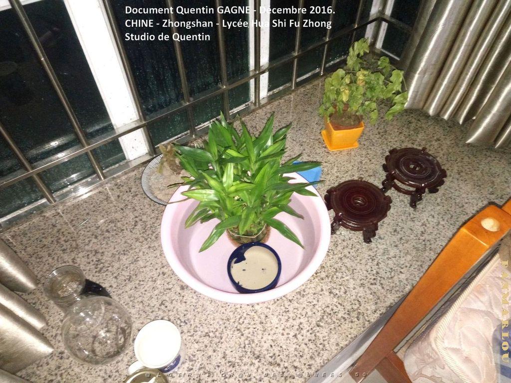 Zhongshan 070- Studio .jpg